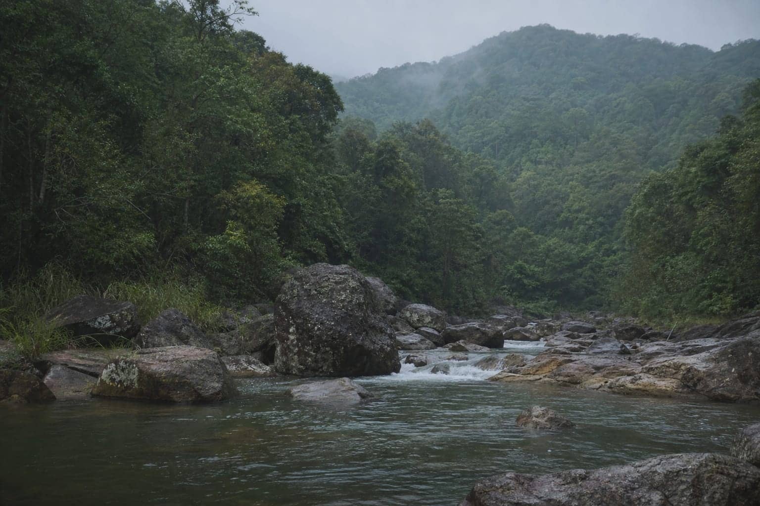 A cold river pool below forested slopes near Belihuloya, Sri Lanka