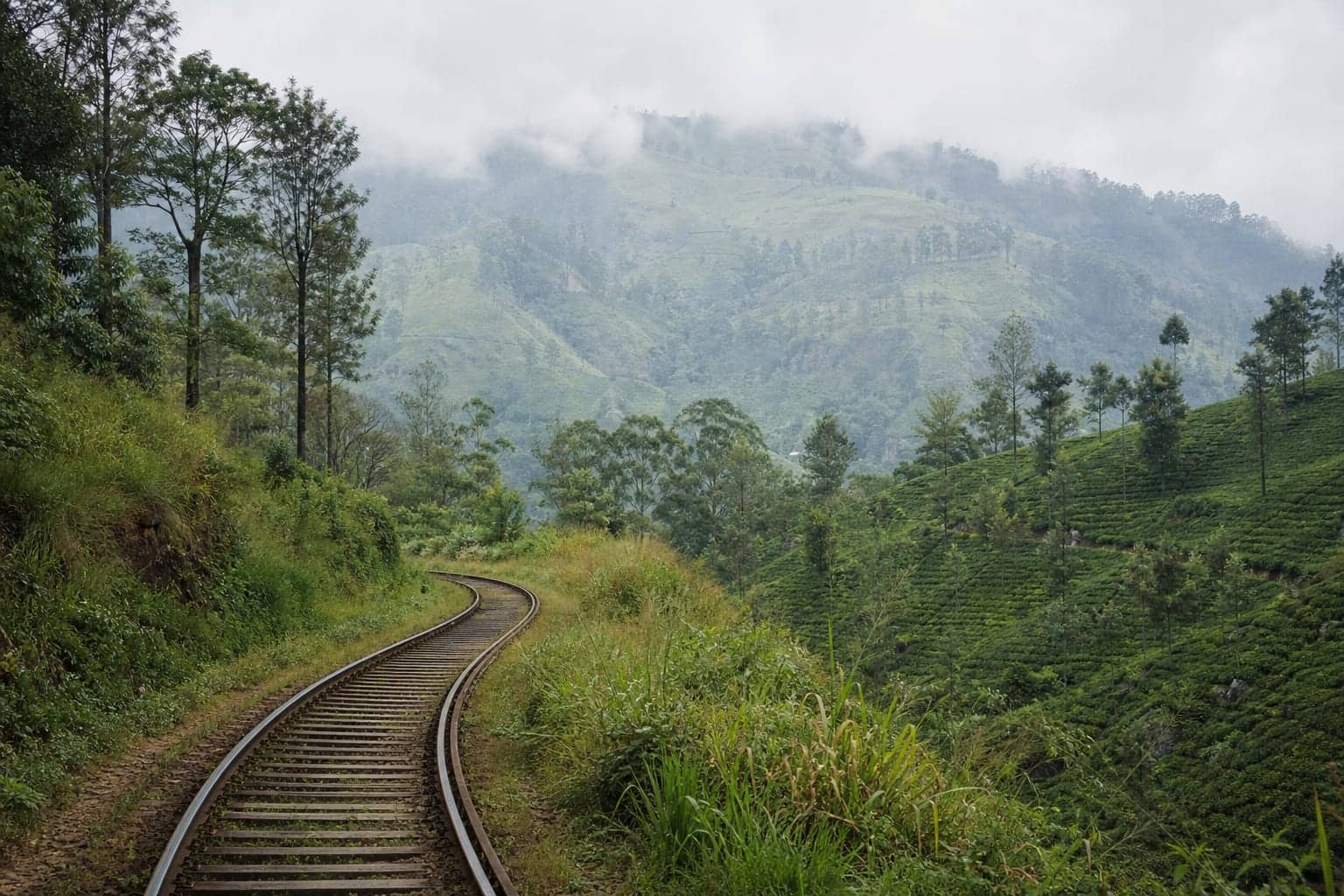 A railway line curving through hill country tea estates near Demodara, Sri Lanka