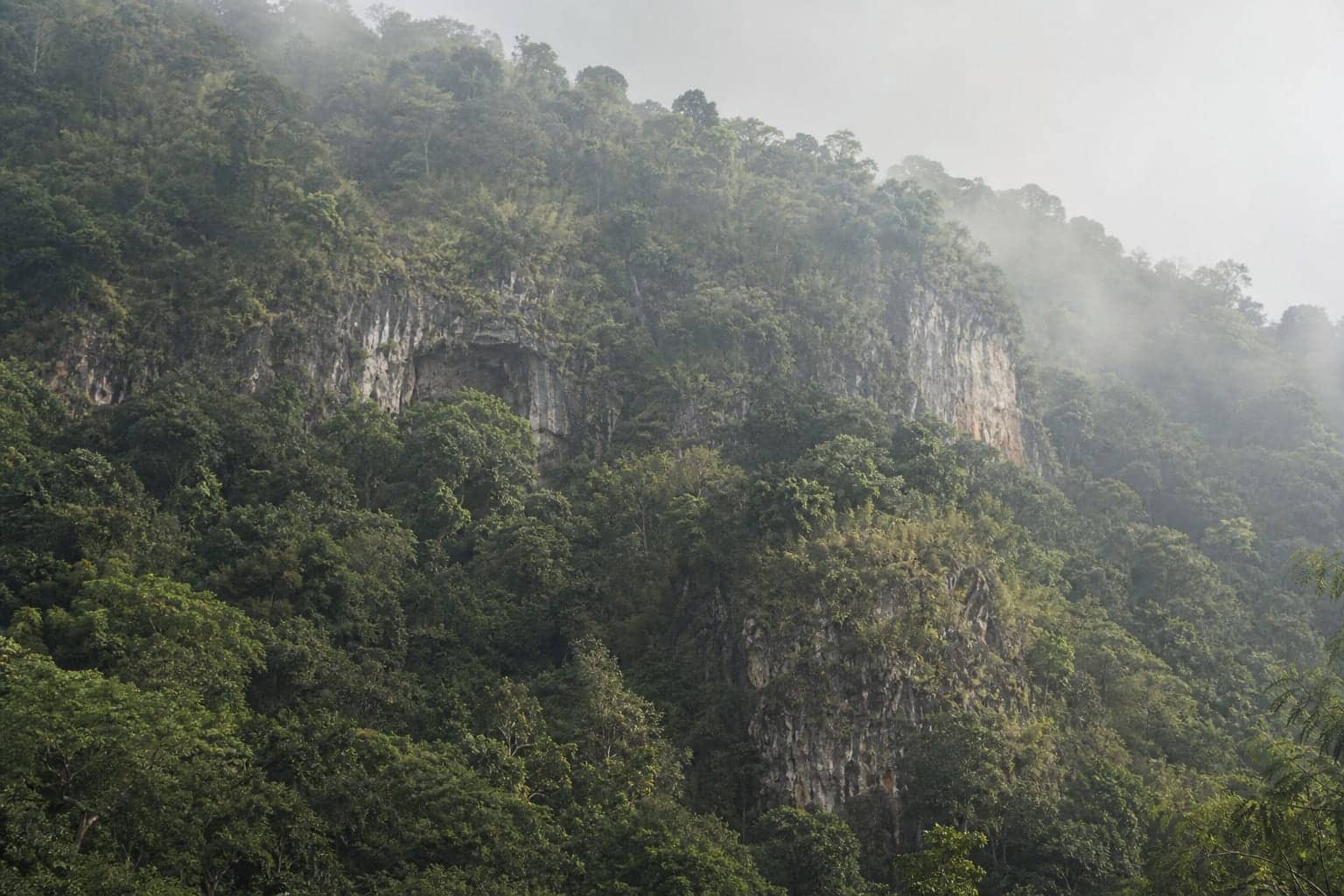 Dense forest over limestone country near Ella where the Nil Diya Pokuna cave system lies