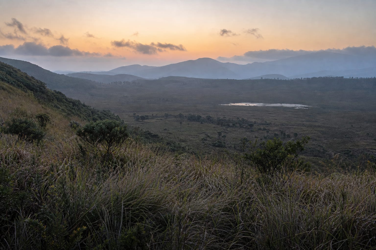 High montane grassland at first light on the Horton Plains plateau in Sri Lanka