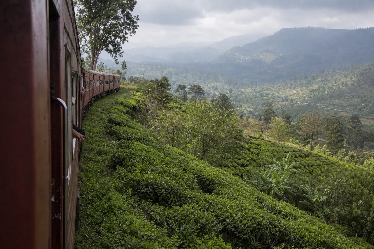 View from an open train doorway across tea-covered slopes on Sri Lanka's upcountry line