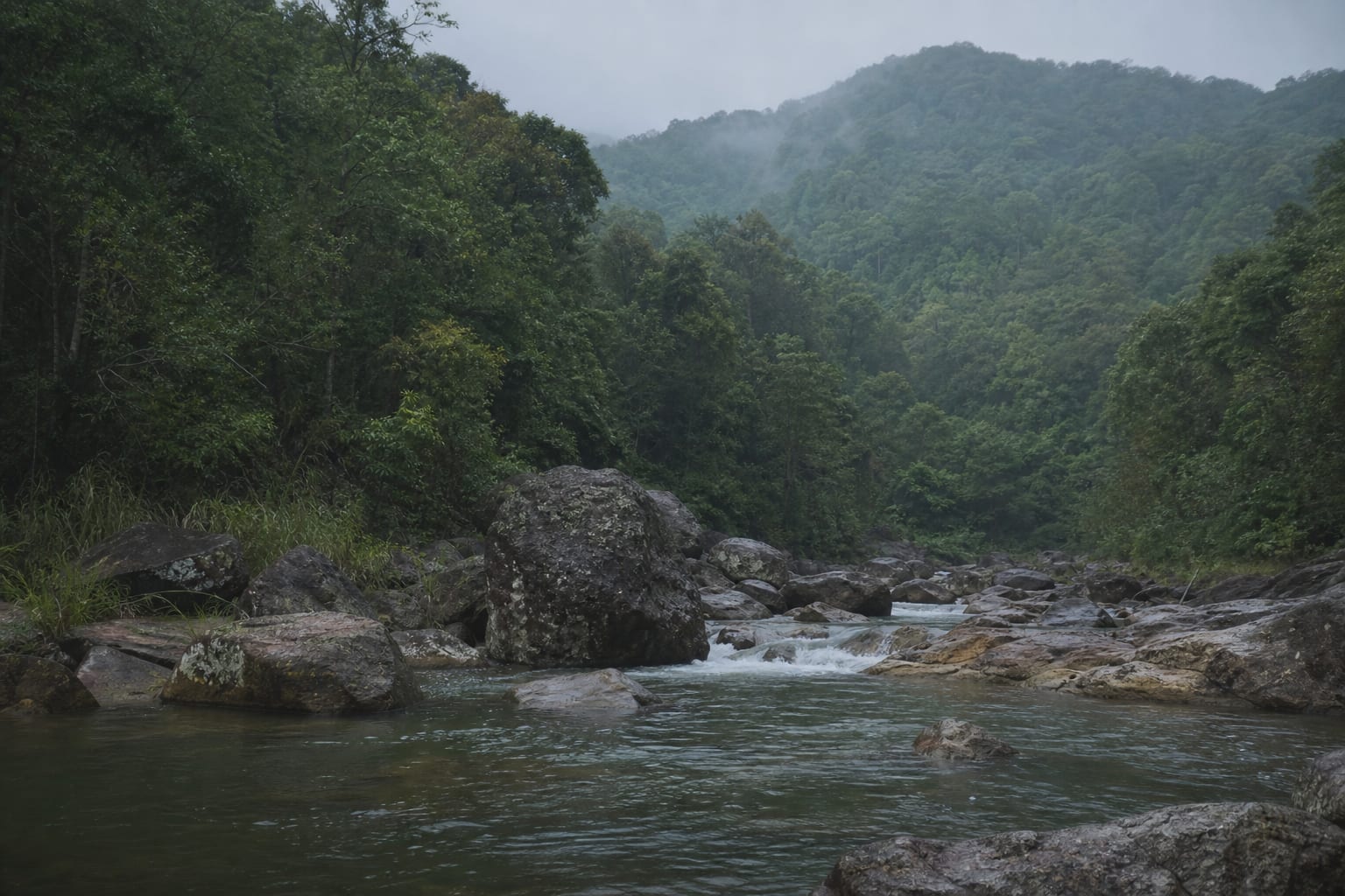A cold river pool below forested slopes near Belihuloya, Sri Lanka