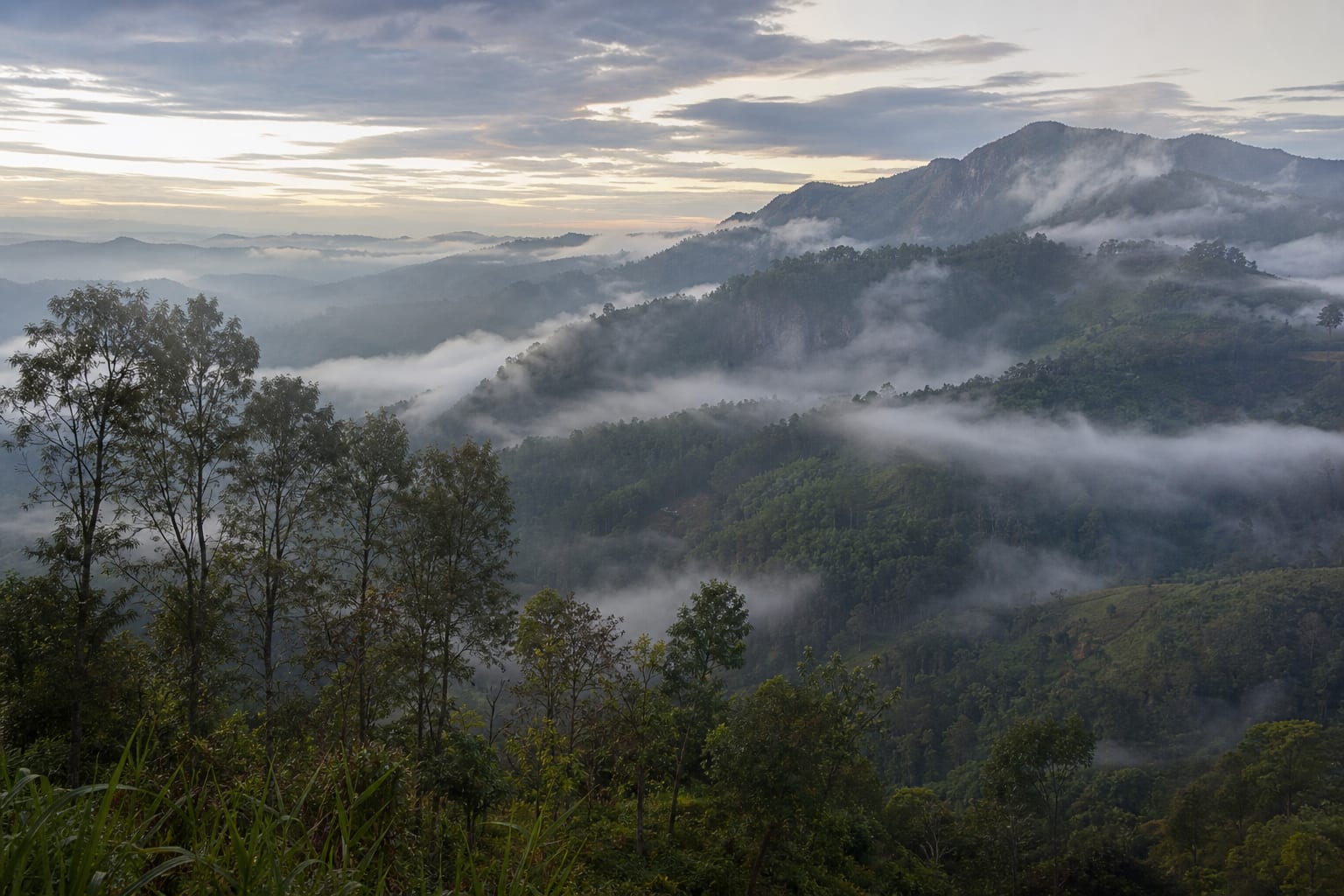 Mist clearing off the ridges above Ella in Sri Lanka's hill country at first light