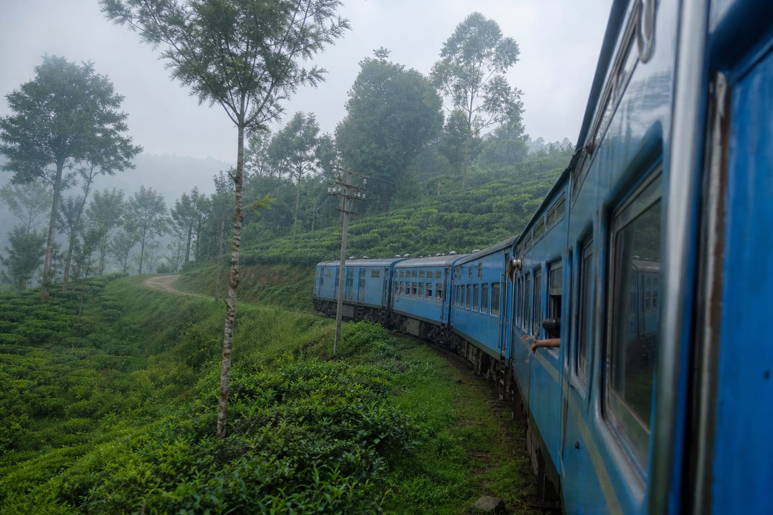A blue Sri Lankan railway carriage curving through tea estates on the upcountry line