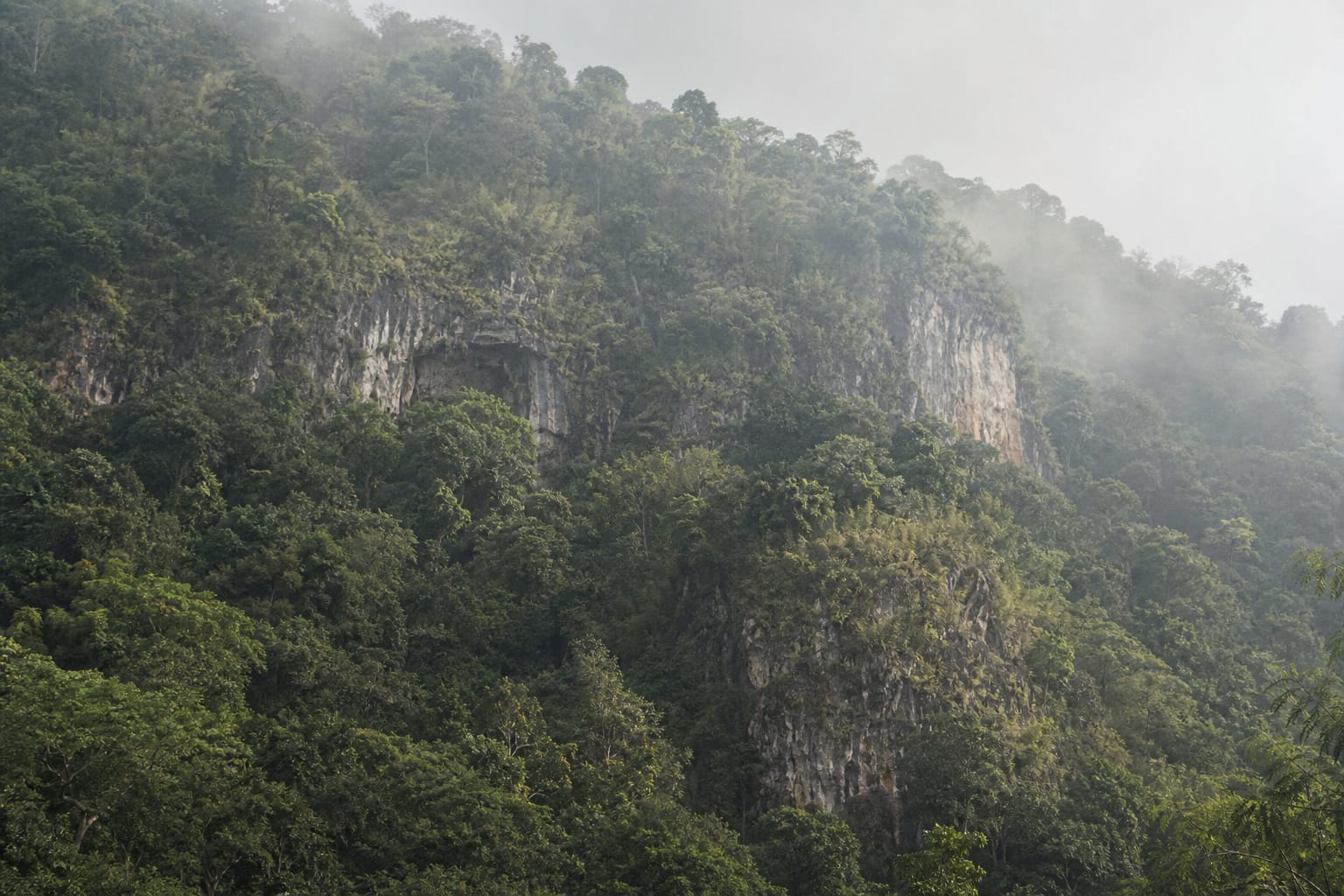 Dense forest over limestone country near Ella where the Nil Diya Pokuna cave system lies