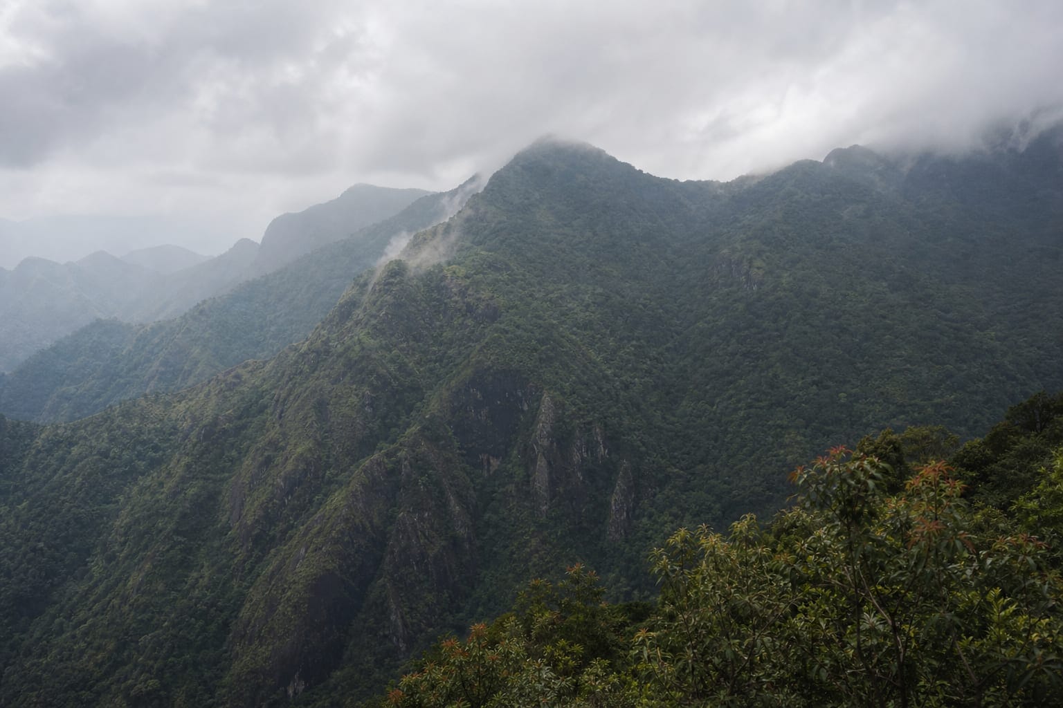 Cloud forest ridges in the Knuckles range of central Sri Lanka